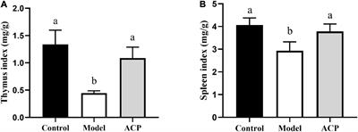 Regulatory effects of Auricularia cornea var. Li. polysaccharides on immune system and gut microbiota in cyclophosphamide-induced mice